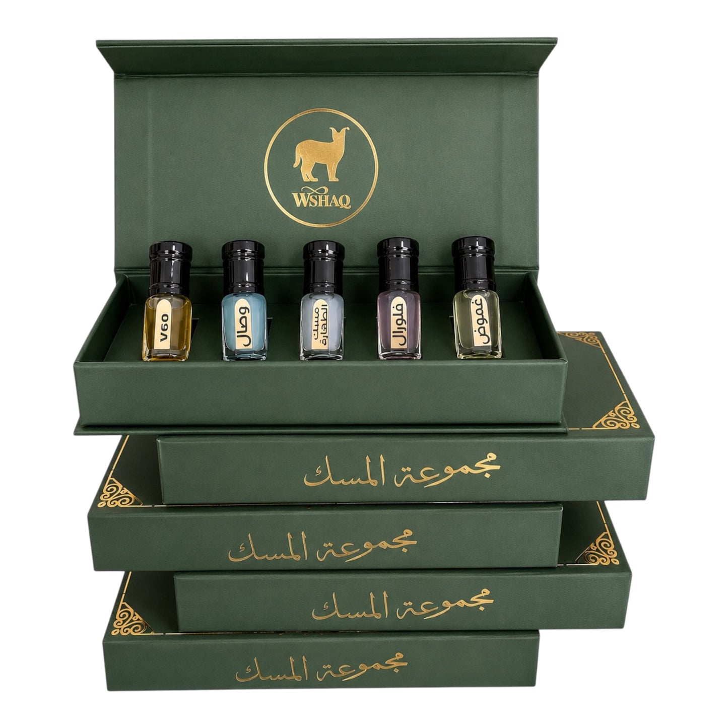 Collection Toola AL musk